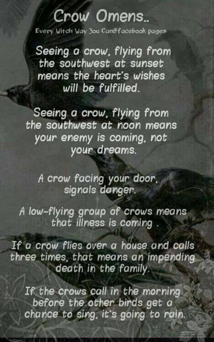The Ultimate Guide: Unraveling The Meaning Behind Dead Crow Omens