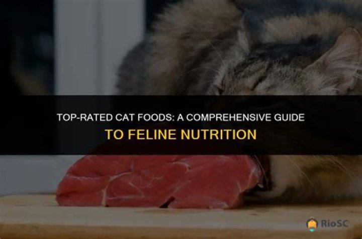 Top-Rated Brigitta Wuthe: A Comprehensive Guide