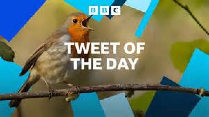 Tweet of the day Kris and Bruce Jenner Boston Herald