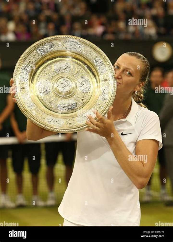 Twotime Wimbledon champion Petra Kvitova is engaged Daily Mail Online