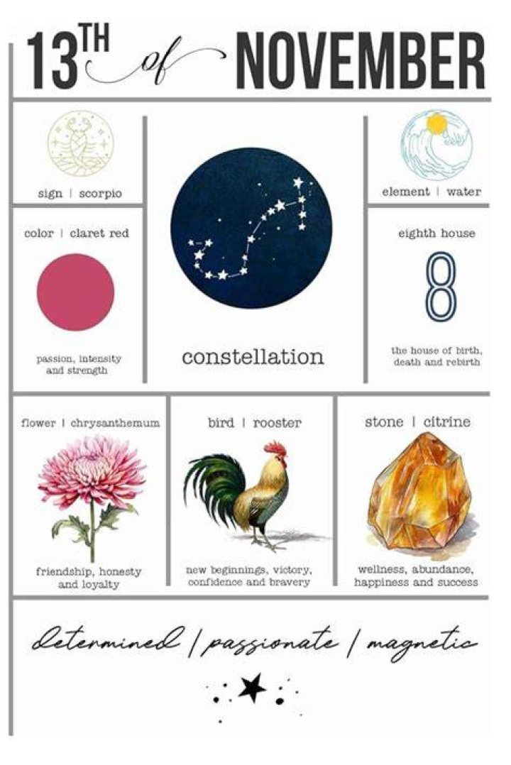 Uncover The Mysteries: Zodiac Sign For November 13th