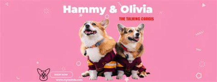 Uncover The Truth About Hammy And Olivia