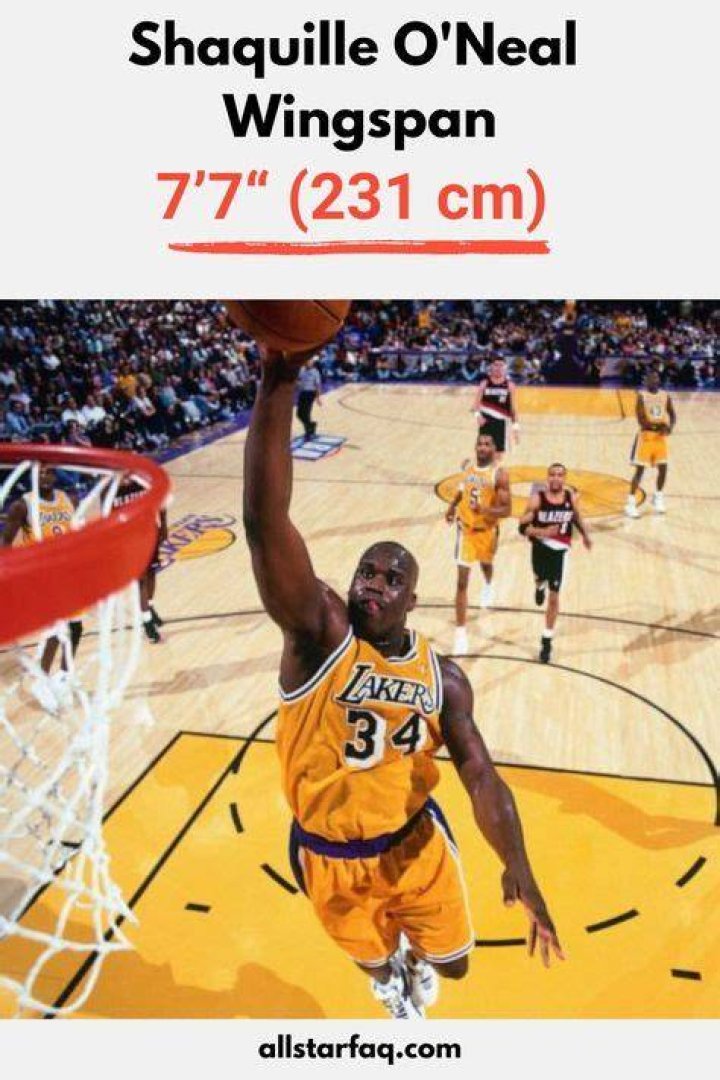 Uncovering Shaq's Wingspan: An Impressive Measurement