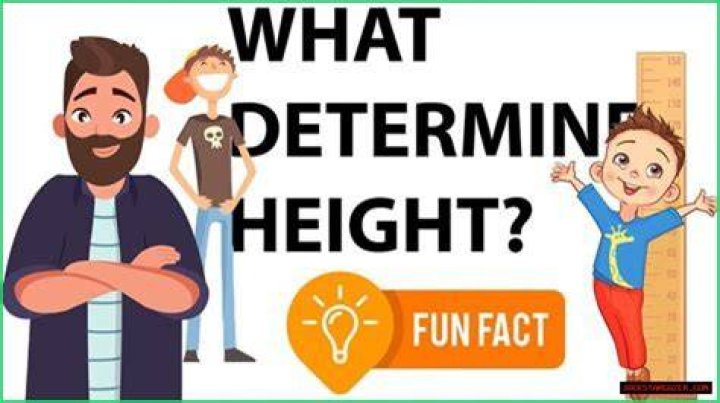 Uncovering The Man Behind The Height, Weight, Age, Spouse, And Family