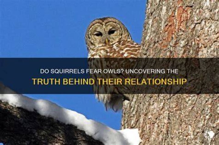 Uncovering The Truth About Their Relationship