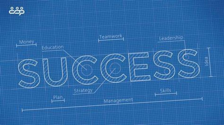Unraveling The Professional Success Blueprint