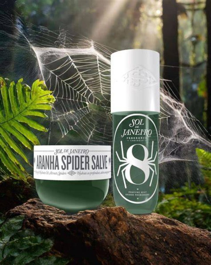 Unraveling The Secrets Of The Sol De Janeiro Wolf Spider