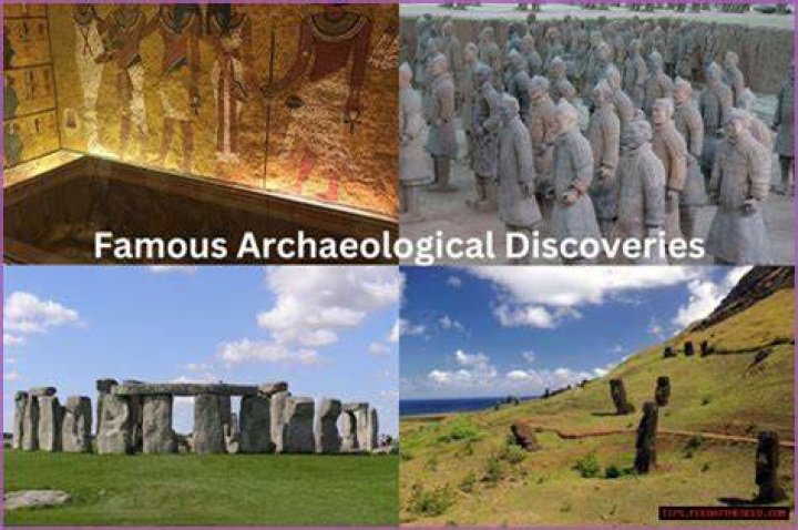 Unveiling Denise Hutchins: Discoveries And Leadership Insights