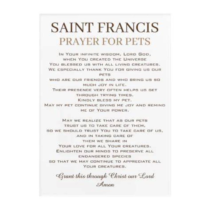 Unveiling The Power Of Prayer To St. Francis For Pets: Discoveries And Insights
