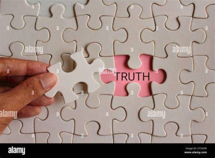 Unveiling The Puzzle And Seeking Truth