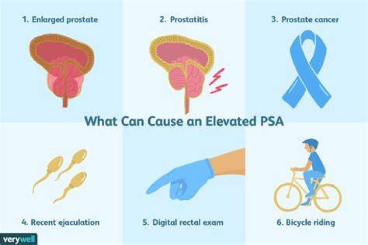 What Does PSA Mean in Texting? (Texting Slang Explained) Symbol Genie
