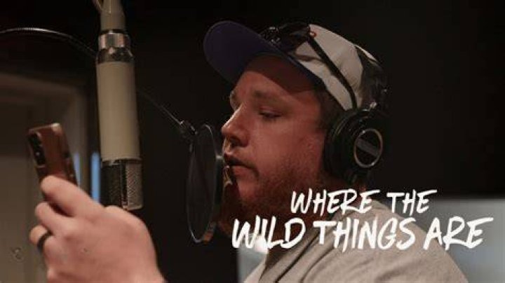 Who Authored Luke Combs's "Where The Wild Things Are"?