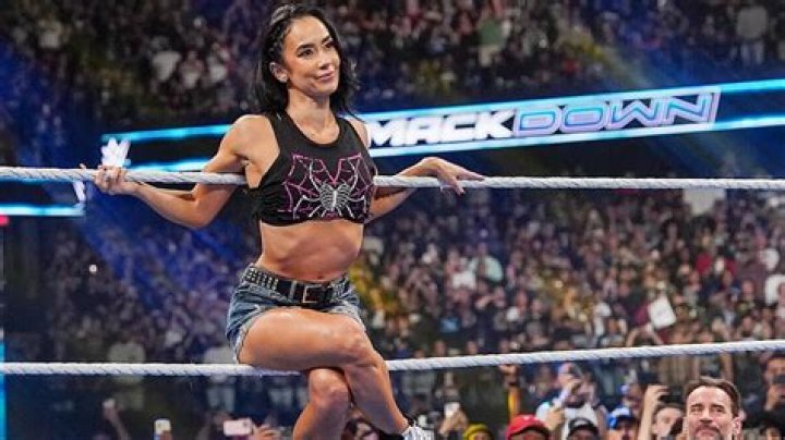 Who is AJ Lee? WWE star and wife of CM Punk The US Sun
