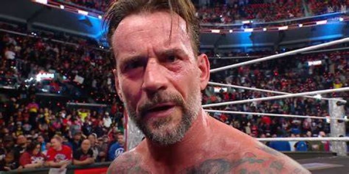 Who is Cm Punk's Wife AJ Lee Girlfriend Bio