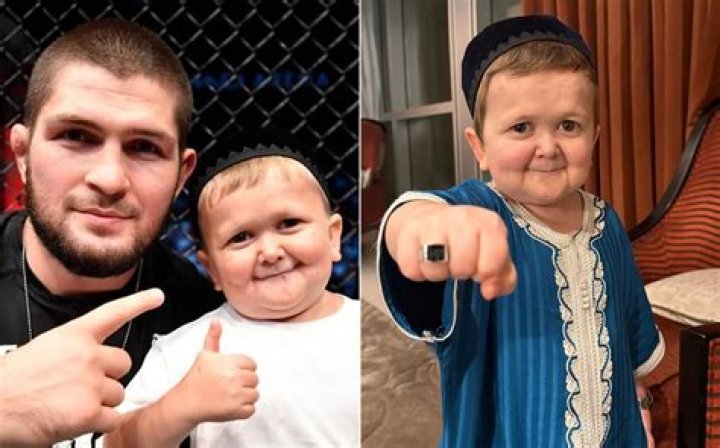 Who is Hasbulla Magomedov and Why is He So Famous? Trill Mag