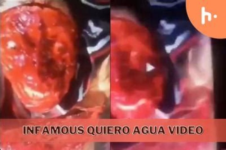 Yo Quiero Agua Flayed by The CJNG's Killer Clown YouTube